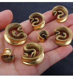 2 PCS 8mm-25mm Hypoallergenic 316 Stainless Steel Snake Vintage Saddle Plugs Weight Hangers Ear Gauges Tunnels Piercing Expan...