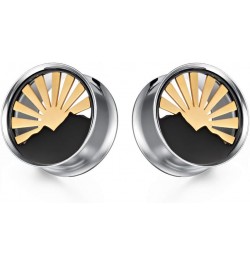 2PCS Sunrise Style Multi Element Plugs and Tunnels for Ears Stainless Steel Ear Gauges Piercing Hangers Expander Stretchers 0...