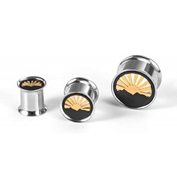 2PCS Sunrise Style Multi Element Plugs and Tunnels for Ears Stainless Steel Ear Gauges Piercing Hangers Expander Stretchers 0...