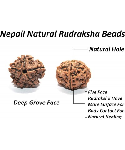 IndianStore4All Certified Nepali 5 Mukhi (Face, Panchmukhi) Bigger Size Rudraksha Japa Mala (Necklaces) 108 +1 Sumeru Good fo...