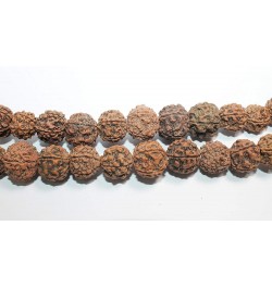 IndianStore4All Certified Nepali 5 Mukhi (Face, Panchmukhi) Bigger Size Rudraksha Japa Mala (Necklaces) 108 +1 Sumeru Good fo...