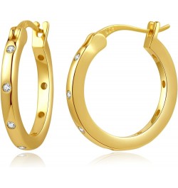 14K Gold Plated Hoop Earrings for Women Girls 925 Sterling Silver Post ( Large Small Twisted Chunky Thick CZ Hoop Square ) Ho...