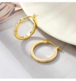 14K Gold Plated Hoop Earrings for Women Girls 925 Sterling Silver Post ( Large Small Twisted Chunky Thick CZ Hoop Square ) Ho...