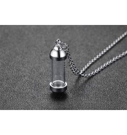 Stainless Steel Glass Cremation Urn Pendant, Ashes Holder Memorial Pendant Necklace with Chain, Keepsake Jewelry 40.5*12mm Si...