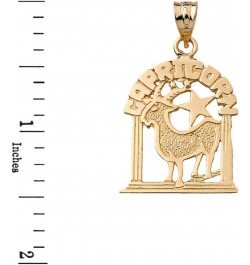 Personalized 14k Yellow Gold Zodiac Sign Charm Pendant Capricorn $81.39 Pendants