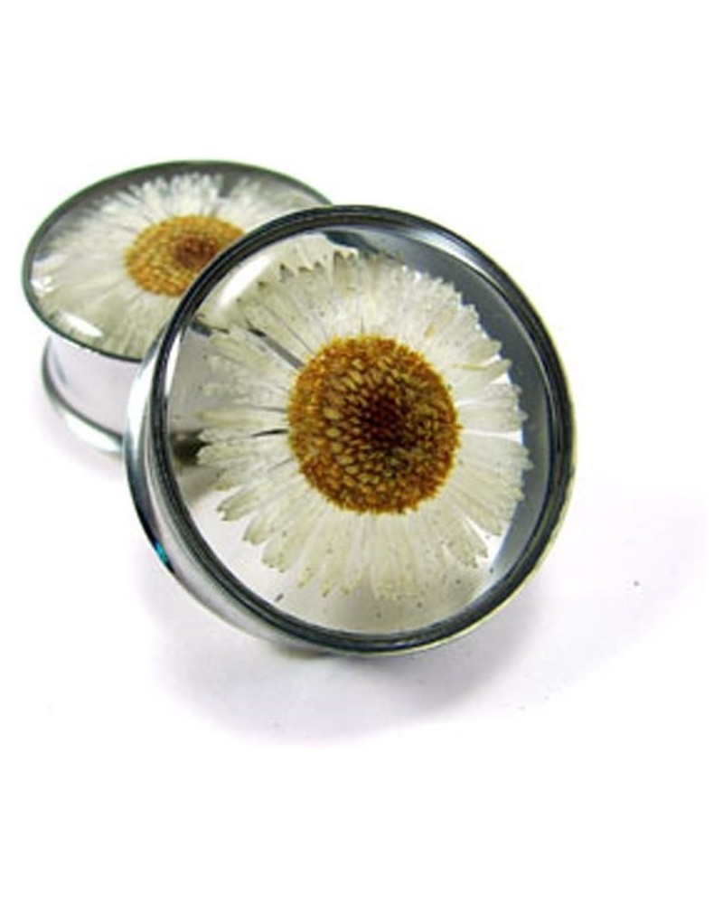 Embedded Real Daisy Flower Plugs - Sold As a Pair 7/8" (22mm) $9.44 Body Jewelry