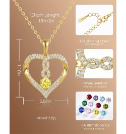 Birthstone Heart Necklaces for Women, 18k Gold Plated and 925 Sterling Silver Infinity Forever Love Pendant Necklaces, Birthd...