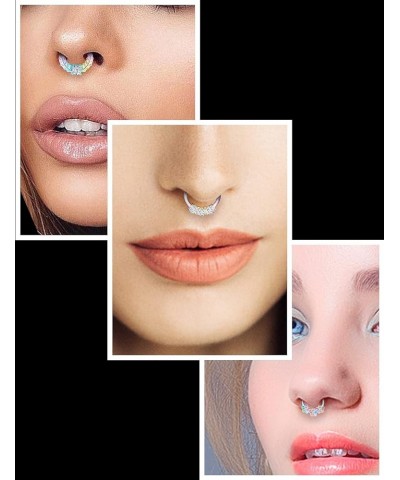 16G Hinged Septum Piercing Jewelry Septum Clicker 316L Surgical Steel Septum Nose Rings Earrings Hoops Piercing Jewelry for M...