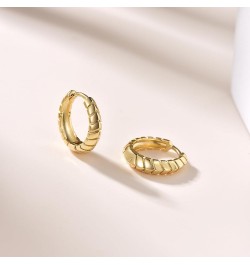 Gold Hoop Earrings for Men and Women Hypoallergenic Sterling Silver Ear Pins Earrings with Unique Patterns/CZ Gold Plated Ear...