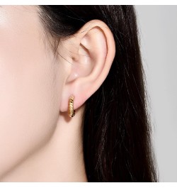 Gold Hoop Earrings for Men and Women Hypoallergenic Sterling Silver Ear Pins Earrings with Unique Patterns/CZ Gold Plated Ear...