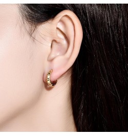 Gold Hoop Earrings for Men and Women Hypoallergenic Sterling Silver Ear Pins Earrings with Unique Patterns/CZ Gold Plated Ear...