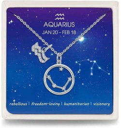 Zodiac Necklace Sterling Silver 12 Constellation Horoscope Pendant Astrology Star CZ Dainty Necklaces Birthday Gifts for Wome...