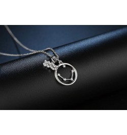 Zodiac Necklace Sterling Silver 12 Constellation Horoscope Pendant Astrology Star CZ Dainty Necklaces Birthday Gifts for Wome...