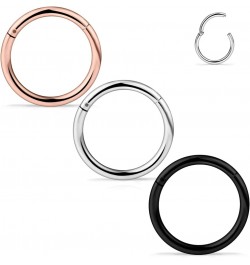 3-10PCS 16G Stainless Steel Hinged Clicker Segment Septum Nose Lip Ring Hoop Cartilage Tragus Sleeper Earrings Body Piercing ...