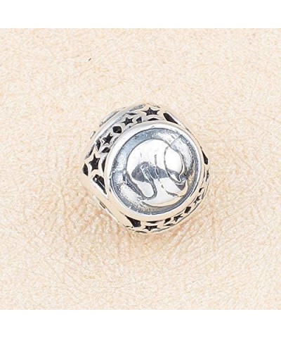 925 Sterling Silver Zodiac Constellation Sign Bead Charm fit Pandora Chamilia Bracelet Necklace (Capricorn) Virgo $7.17 Brace...