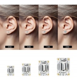 S925 Sterling Silver Stud Earrings Set for Women, Emerald Cut Simulated Diamond Stud Earrings Hypoallergenic CZ Stud Earrings...