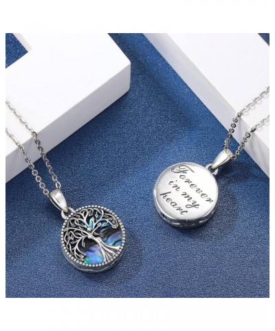 Cremation Jewelry for Ashes S925 Sterling Silver Urn Necklace Memorial Necklace for Human Ashes of Loved Ones Keepsake Pendan...