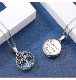 Cremation Jewelry for Ashes S925 Sterling Silver Urn Necklace Memorial Necklace for Human Ashes of Loved Ones Keepsake Pendan...