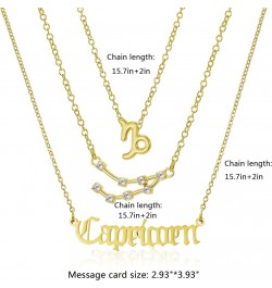 3Pcs Zodiac Necklace Set 12 Constellation Sign Pendant Necklace Astrology Birthday Gift For Women Girls Capricorn(12.22~1.19)...