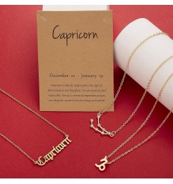 3Pcs Zodiac Necklace Set 12 Constellation Sign Pendant Necklace Astrology Birthday Gift For Women Girls Capricorn(12.22~1.19)...