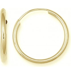 14k Gold Endless Continuous Hoops Hoop Earrings 1.25mm (Mini, Small, Regular) 25MM (yellow-gold) $16.27 Earrings