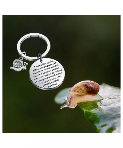 Snail Keychain Snail Gift Inspirational Gift The Snail Is A Symbol Of Time And Progress Snail is a Symbol $10.58 Pendants