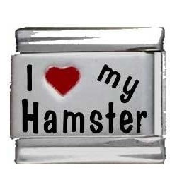 I Heart My Hamster Red Heart Laser Italian Charm $7.39 Bracelets