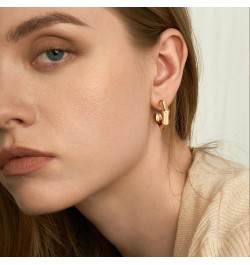 Gold Earrings for Women Girls,14K Gold Plated Chunky Gold Hoop Earrings for Women Trendy Fashion Jewelry Gifts for Her Hoop E...