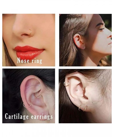 2 Pcs Nose Rings 20G 18G 16G 14G 12G 10G 8G Surgical Steel Piercing Rings for Nose Septum Cartilage Helix Tragus Conch Rook D...