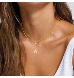 Dainty Layered Initial Choker Necklaces for Women Girls 14K Gold Plated Cute CZ Heart Letter Pendant Layering Gold Necklace S...