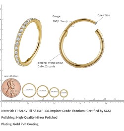 ASTM F136 Titanium Hoop Piercing Jewelry 16G 18G 6mm 8mm 10mm 11mm 12mm - Hypoallergenic Hinged Clicker for Septum, Cartilage...