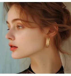 Open Hoop Earrings - C Shaped Hypoallergenic Gold-Plated Titanium Hoop Earring A-gold $9.89 Earrings