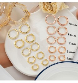 10 Pairs Silver Hoop Earrings Set for Women Surgical Steel Hoop Earrings Lightweight Hypoallergenic Tiny Small Hoops For Girl...