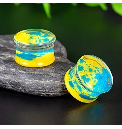 2 Pairs Gauges Piercing Saddle Plugs, Double Flared Flesh Ear Tunnels, Acrylic Flower Logo Earrings Elegant Stretchers. Y680 ...