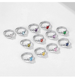 925 Sterling Silver Celtic Trinity Knot/Claddagh Heart Shape Birthstone Promise Ring for Women (withe Gift Box) 12. December ...