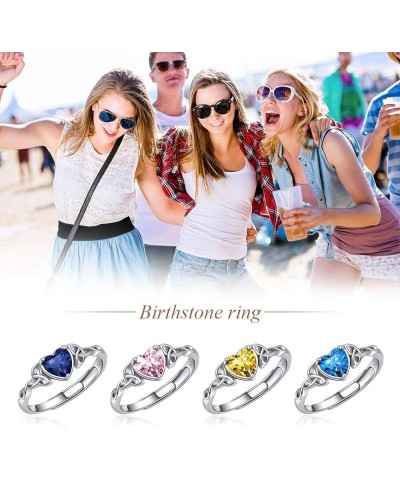 925 Sterling Silver Celtic Trinity Knot/Claddagh Heart Shape Birthstone Promise Ring for Women (withe Gift Box) 12. December ...