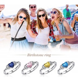 925 Sterling Silver Celtic Trinity Knot/Claddagh Heart Shape Birthstone Promise Ring for Women (withe Gift Box) 12. December ...